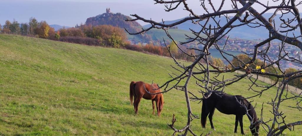 Hotel Barcadam Banská Štiavnica Exteriör bild